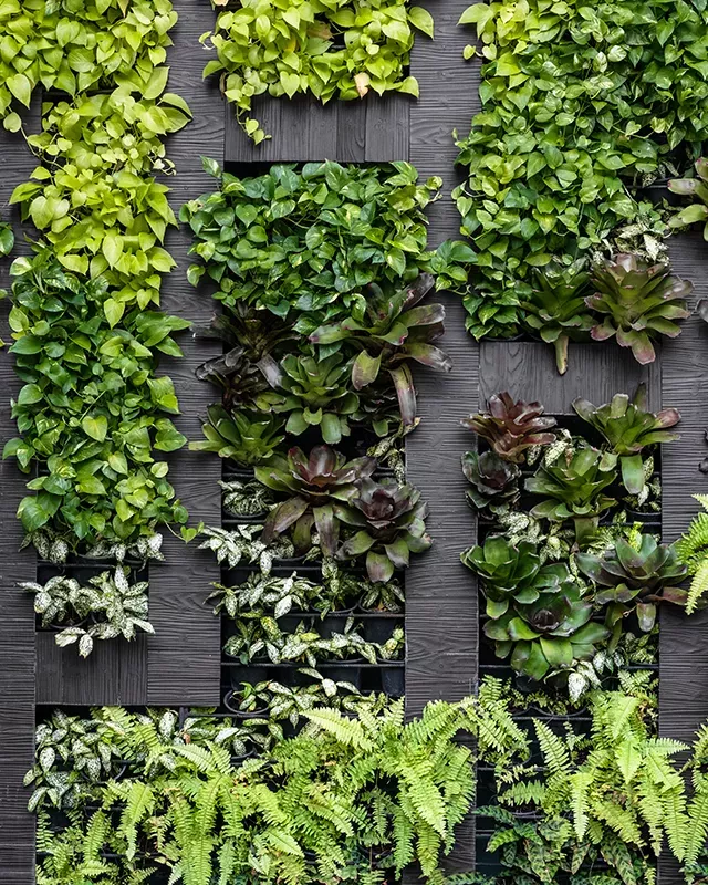 Giardini aziendali: pareti verde verticale - Il Lauro