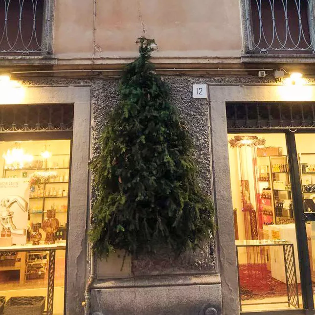 Alberi di Natale Brescia per spazi commerciali: albero di Natale Sostenibile - Il Lauro