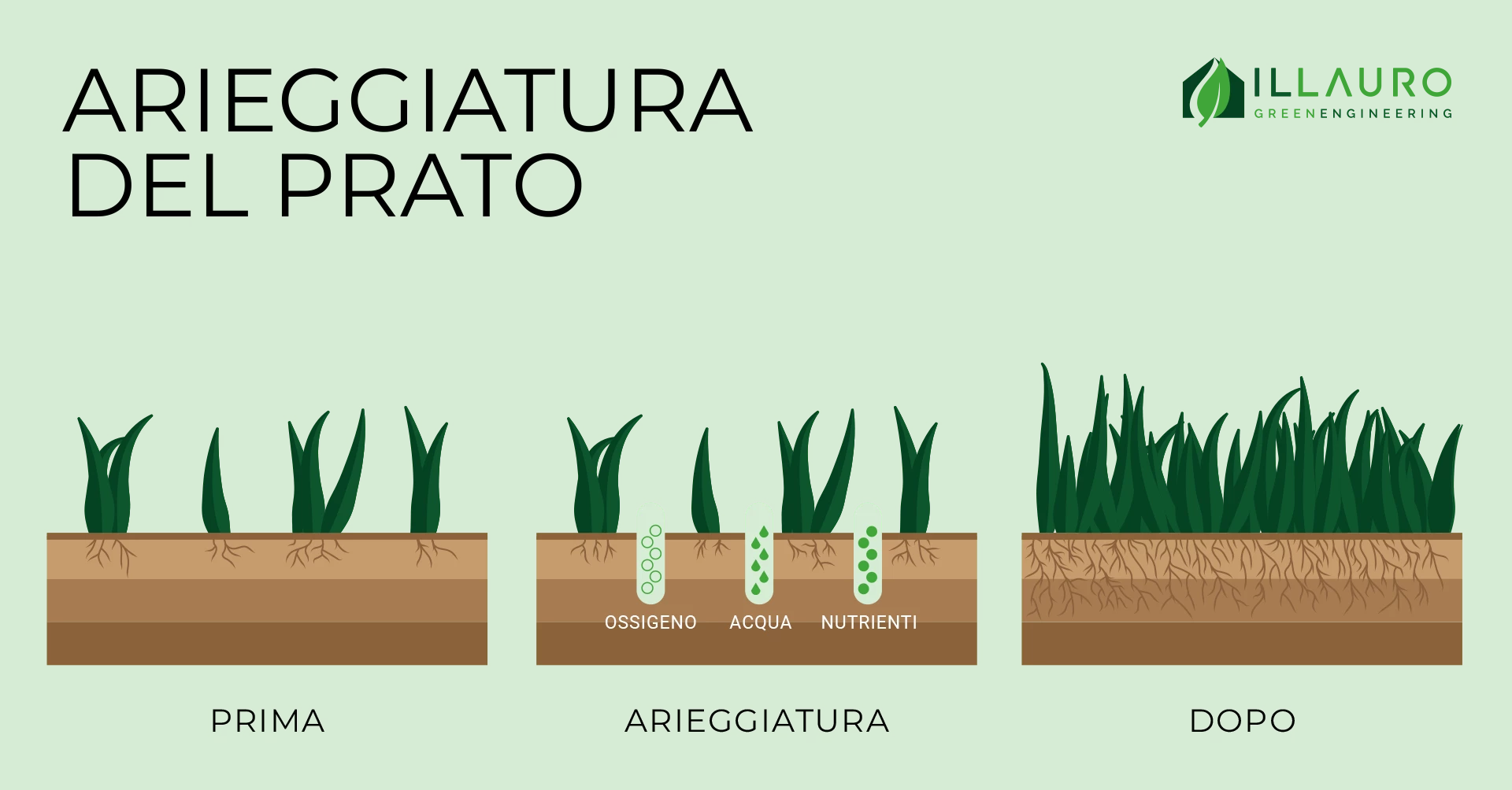 Arieggiatura prato: la guida completa - Il Lauro