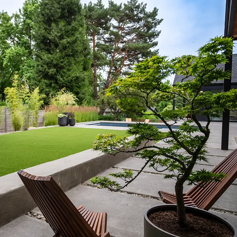 Giardini moderni minimal patio con prato verde e siepe - Il Lauro