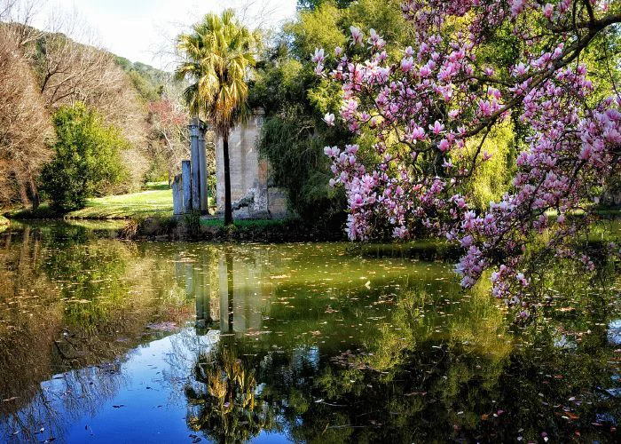 Giardino all'inglese della reggia di caserta in primavera con fioriture - Il Lauro