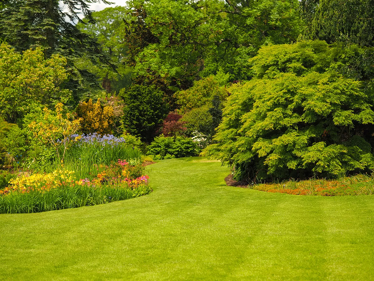 Giardino all'inglese: prato e alberi - Il Lauro