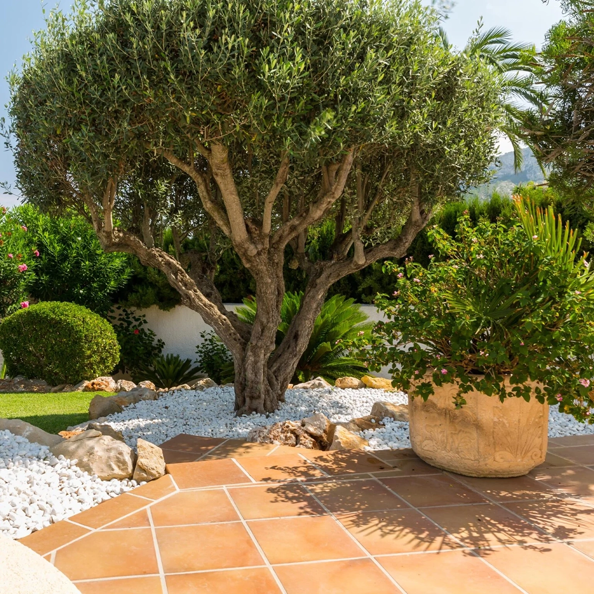 Giardino in città: stile mediterraneo - Il Lauro