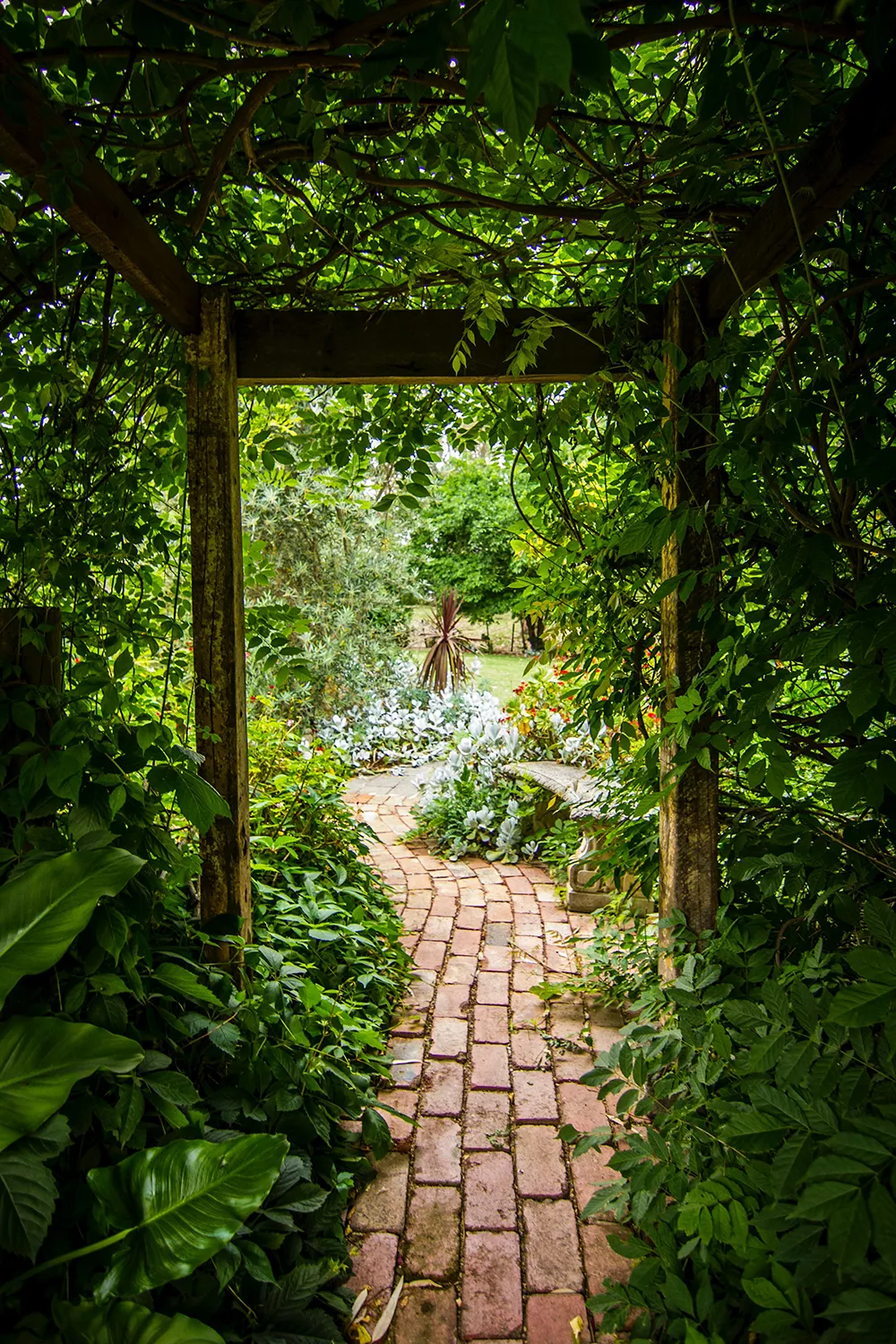 Giardino senza prato: sentieri e pavimenti - Il Lauro