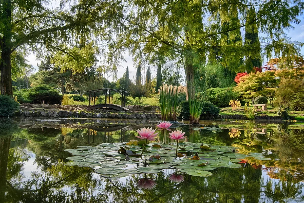 Parco Sigurtà giardino all'inglese con ninfee - Il Lauro