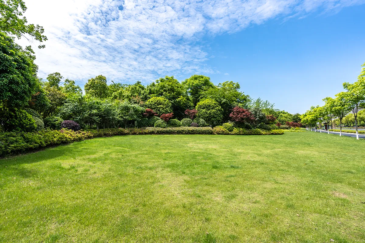 Progettazione giardini brescia  spazi aperti - Il Lauro