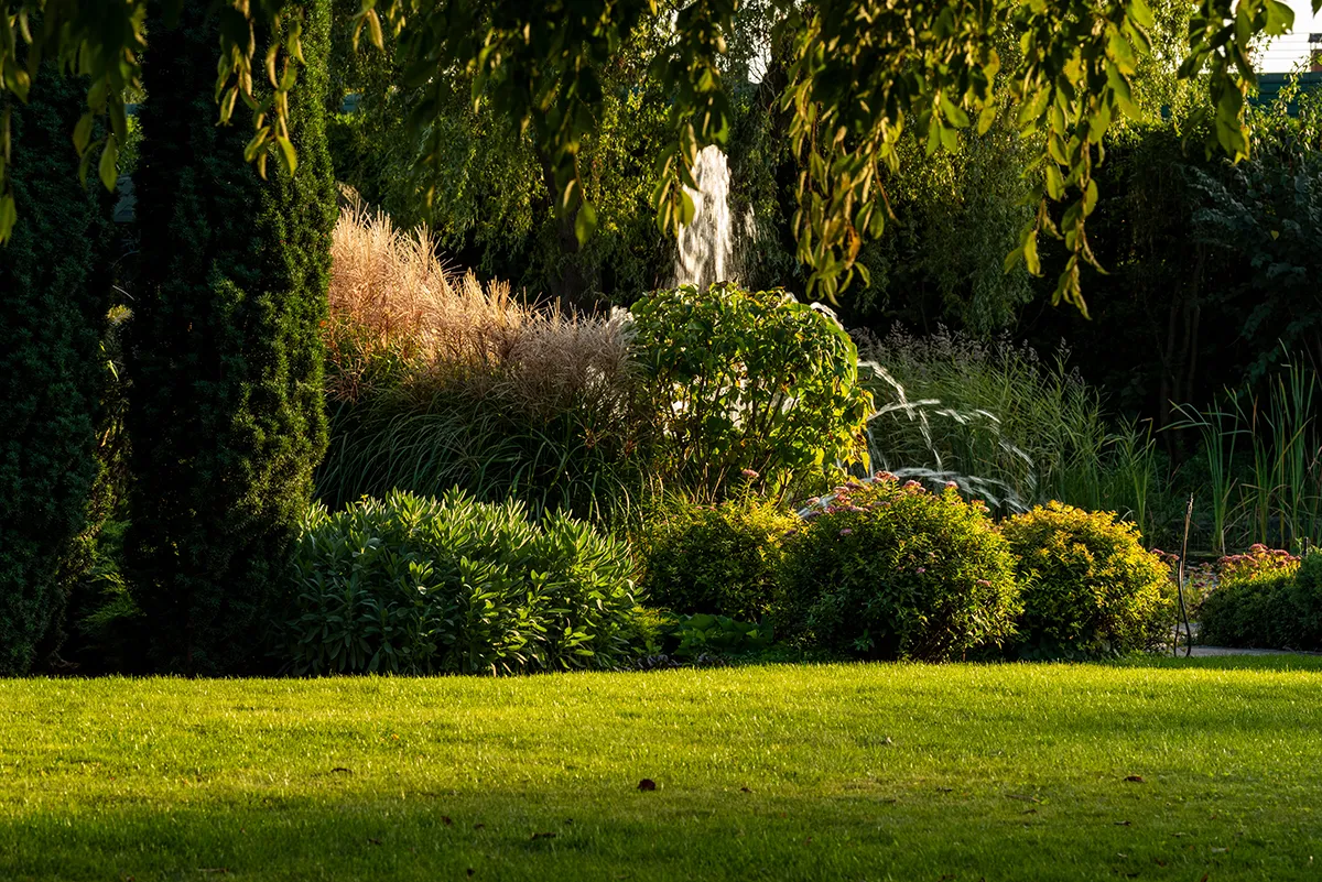 Progettazione giardini brescia  il tuo spazio verde da sogno - Il Lauro