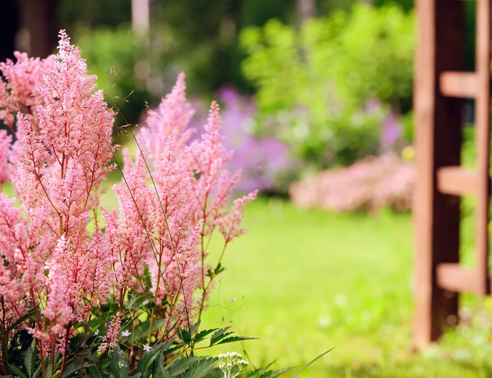 Giardini Piccoli Idee per Crearli e Arredarli