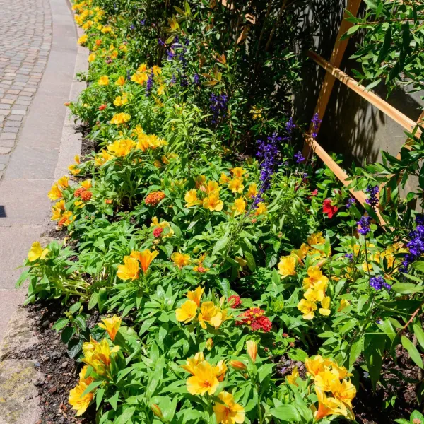 Giardino Residenziale a Brescia - Il Lauro