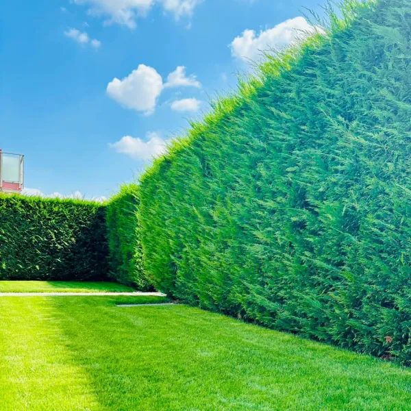 Giardino Residenziale a Brescia - Il Lauro