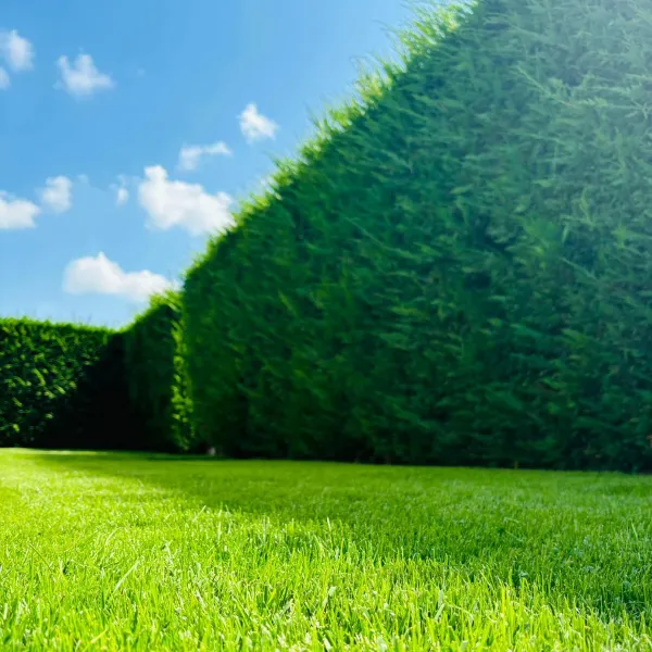 Giardino Residenziale a Brescia - Il Lauro