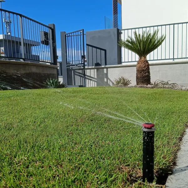 Giardino brescia con piccole palme e piante tropicali e prato verde: Il Lauro Brescia